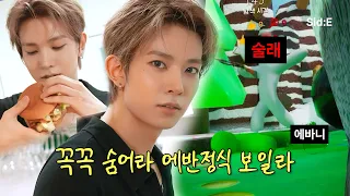 에반 오늘 뭐 하지? 에반정식과 숨바꼭질 | EVAN (에반) | Sid:E
