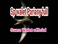 sp walet pariasy full. buktikan sendiri hasilx