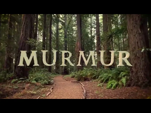 [Teaser] MURMUR by Mark Polish Sept 2022