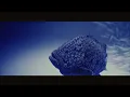 Unofficial Aquatic Visualizer (Blind by Overgrown)