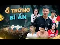 Download Lagu Ổ TRỨNG BÍ ẨN | Hai Anh Em Phần 968 | Phim Tình Cảm Hài Hước Gãy Media