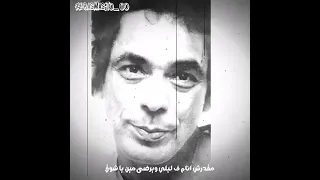 وانتي مين يطولك دا انتي العاليه لفوق  وانتي مين يطولك دا انتي العاليه لفوق