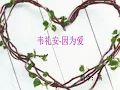韦礼安 - 因为爱[HQ]