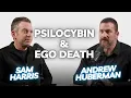 Lagu Dr Andrew Huberman with Sam Harris: Psilocybin \u0026 Ego Death | HLE