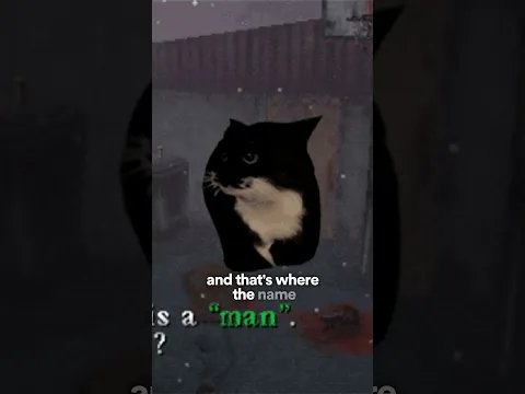 Maxwell the Cat Wasn’t Actually Maxwell