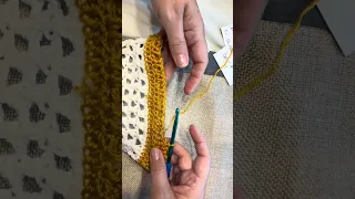 WILD STITCH SCARF - WEEK 3 Camel Stitch FPDC Tutorial On The Hook Threads