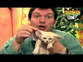 Zoboomafoo with the Kratt Brothers Full Episodes Compilation