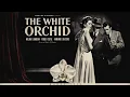 The White Orchid 1954 Film in English William Lundigan Peggie Castle Armando Silvestre
