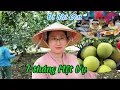 Download Lagu 485/ Nhà Vườn Đồng Nai Bán bưởi Vụ ,Như lên Sài Gòn buôn Bán Si chơi quá Vui !!