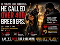 Can the Doberman Be Saved Inside Finland s Genetic Rescue Project