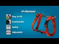 Rogz Utility Small Nitelife Adjustable Reflective Dog H-Harness Black PuppySimply
