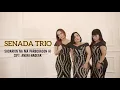 Senada Trio - Sadarion na ma parbogason hi [OFFICIAL MUSIC VIDEO] Cipt. Andri Nadeak