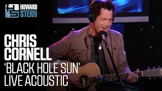Download Chris Cornell “Black Hole Sun” on The Howard Stern Show (2007) MP3