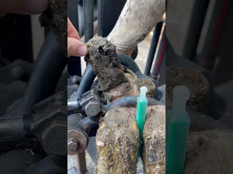 This dew claw is out of control….