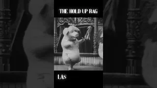 The Hold Up Rag Remix Funny Music Aimusic 