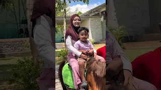 Akhirnya piano berani naik kuda😁