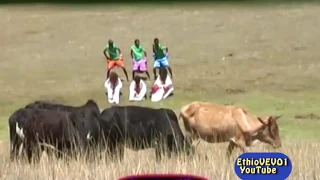 ሙሉሰው ሃብታሙ ዎሎ 