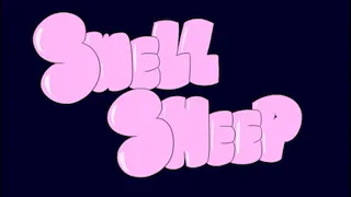 swell sheep