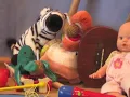 baby and the animals (fan video)