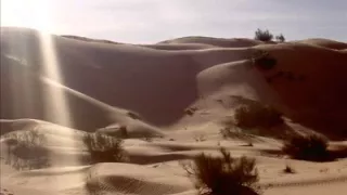 ياطير نعطيك السلام دندنها