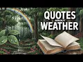 Weather Quotes That Inspire Deep Thoughts Wise Quotes of the Day