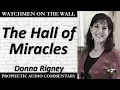 Download Lagu “The Hall of Miracles” – Powerful Prophetic Encouragement from Donna Rigney