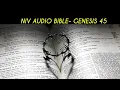 GENESIS 45 NIV BIBLE with text