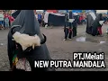 Lagu Bantengan new putra mandala feat PTJMelati live jurangsari lolawang ngoro