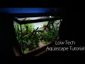 Aquascape Tutorial - 60cm Planted tank 20 gallon community