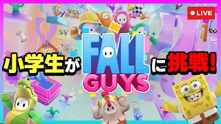 【Fall Guys】✨フォールガイズ✨で遊びます！ #01 【Fall Guys: Ultimate Knockout】【フォールガイズ】【ゆいとの部屋】