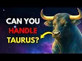 Download Lagu 10 Reasons Why Taurus Are the Most Difficult People to Love or Make Friends With ♉