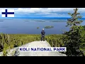 Download Lagu I Fell in Love with FINLAND | KOLI NATIONAL PARK 🇫🇮