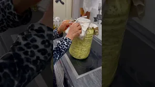 ژاژي جبنة كوردية جبنة متومة مدفونة لشهور او سنة كاملة تحت الارض لتنشف كل المي الي بالجبنة           دندنها