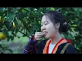 Tu Nha unexpectedly returned to his old house and discovered a young woman living there.