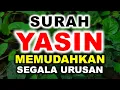 Memudahkan Rezeki Datang Dengan Bacaan Surat Yasin Merdu Arab Latin Terjemahan Indonesia