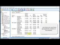 V11 2 - Mixed-Design Split-Plot ANOVA in SPSS