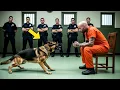 Download Lagu Sein letzter Wunsch vor der Hinrichtung: den Hund sehen – doch die Wahrheit schockierte alle!