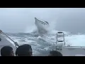 Download Lagu Passengers scream as speedboats bounce over huge waves
