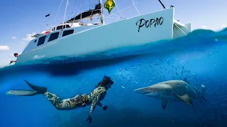Sailing QLD: Brisbane to Double Island Point, Freediving with Sharks & Surfing at DIP (Popao) Ep.37
