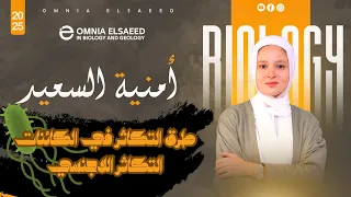 شرح طرق التكاثر في الكائنات الحية الصف الثالث الثانوي 2025  شرح طرق التكاثر في الكائنات الحية الصف الثالث الثانوي 2025