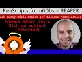 Let s learn scripting in REAPER Ep01 Reading Scripts Basics with Leandro Facchinetti