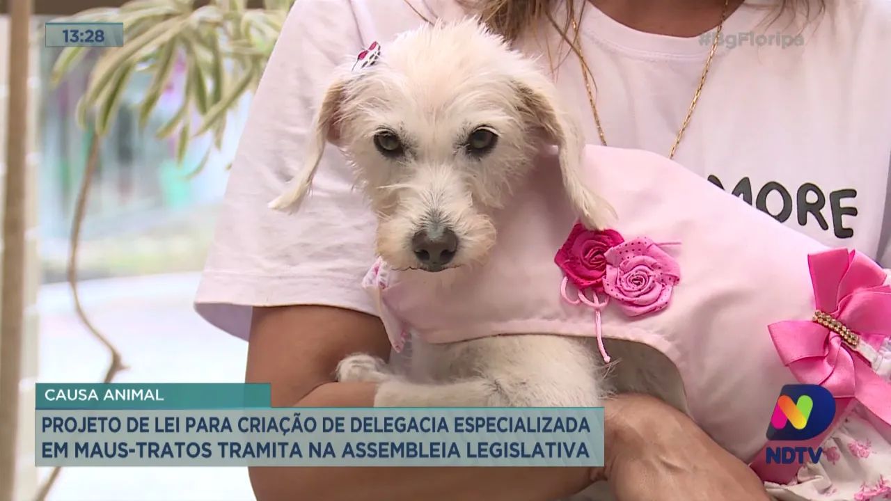 Projeto de lei para criação de delegacia especializada em maus-tratos tramita pela Assembleia