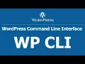 WP CLI WordPress Command Line Interface search-replace using WP CLI