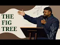 Lagu The Significance Of The Fig Tree | Alvin Thomas