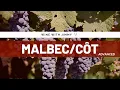 Grape Varieties - Advanced Version ideal for WSET Level 3 and Level 4 WSET Diploma