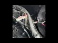Heater Not Blowing Hot 2017 Kenworth T680
