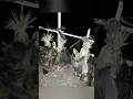 Download Lagu suara burung BENTIUNGAN/mandar,peruk,pelan yang lagi viral