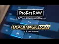 Download Lagu Blackmagic brengt ProRes RAW naar DaVinci Resolve en Pocket 4K, breidt BRAW uit naar Sony FX-lijn