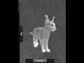 Making a wcue morph but I can t see colour