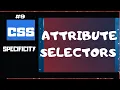 CSS ATTRIBUTE SELECTORS CSS SELECTOR SPECIFICITY EXPLAINED PART 9